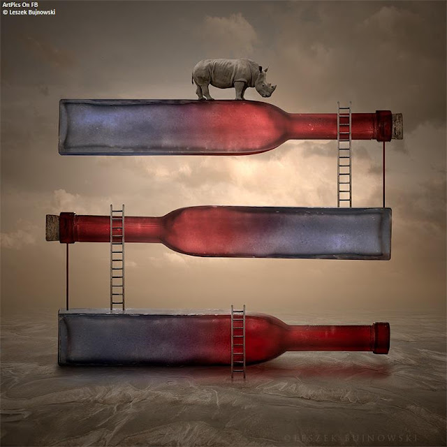 Leszek Bujnowski Creative design Art Work  : Circus Life 