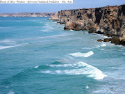 28th February 2011 – Head of Bite Whale Watching Area – South Australia (head of bite whales between yalata nullabor sth aust)