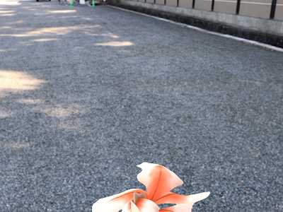 [無料ダウンロード！ √] ��ケモンgo お供 272933-ポケモンgo お供 距離