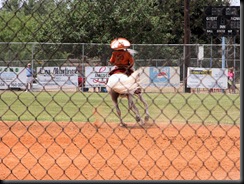 mexican dancing horses