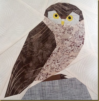 owl test
