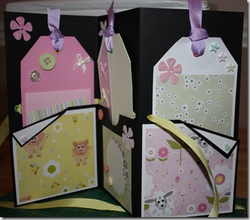 Tall Tag Tri Fold Mini Album Lou Bday Inside Full Feb 2010