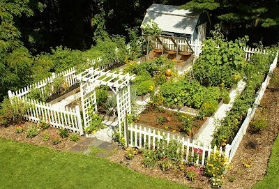 Vegetable Garden