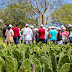 "Dia de Campo" promove práticas agrícolas sustentáveis no Agreste pernambucano