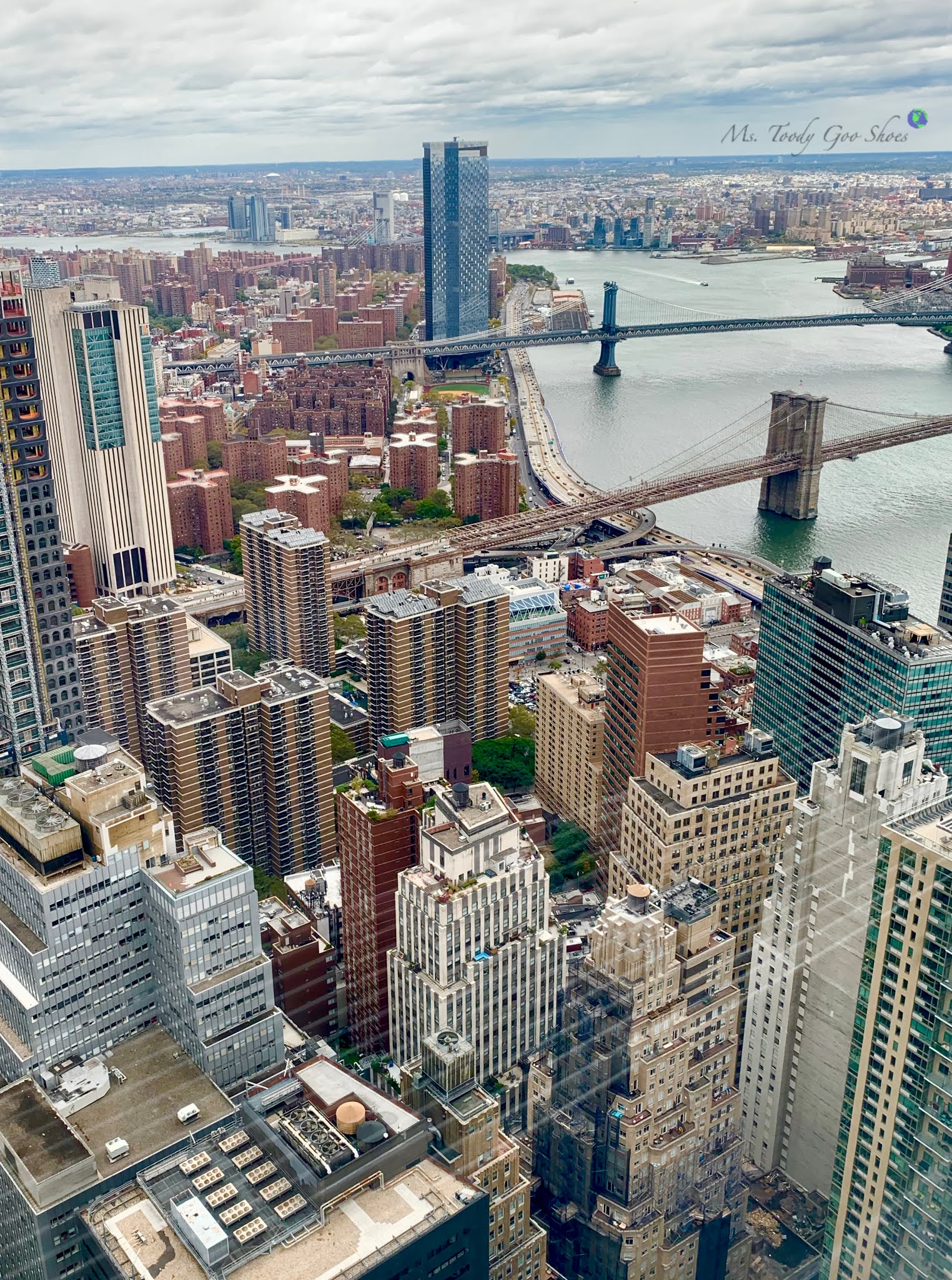 Skyline Views From Manhatta Restaurant New York City- Ms. Toody Goo Shoes