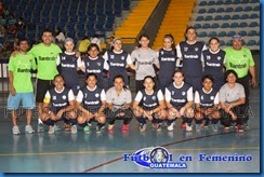 Comunicaciones Femenino apertura 2014