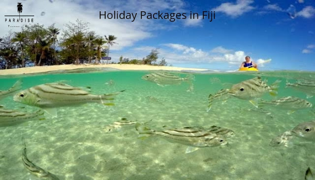 Fiji holiday package