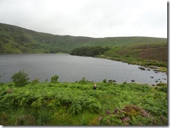 Bus Tour Wicklow Mountains - Dianne down by the lake