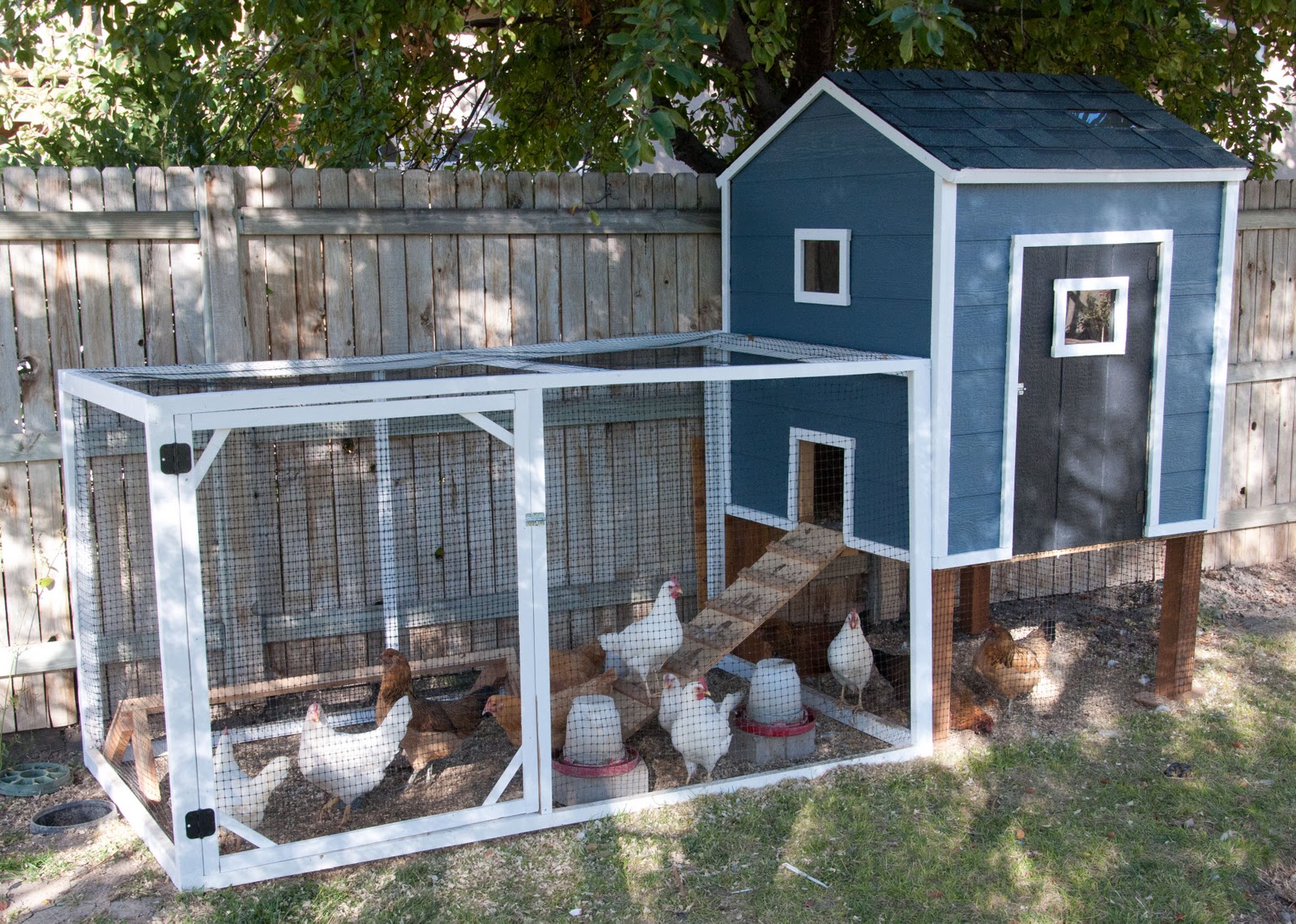 Build Your Own Chicken Coop - A story of chickens -