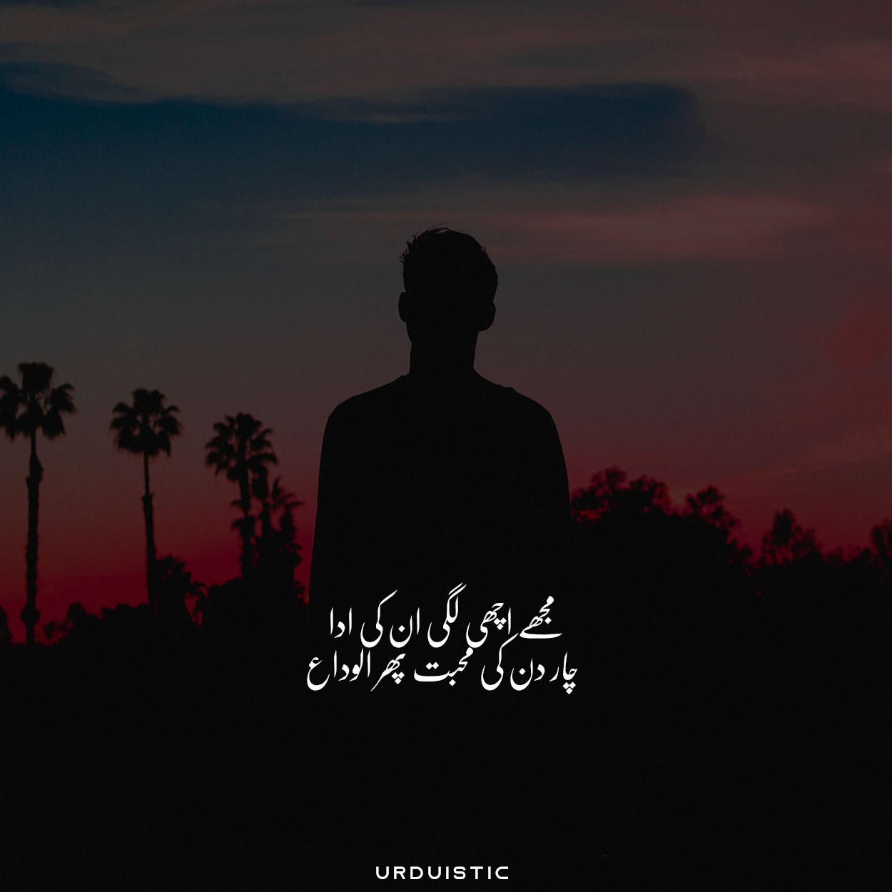 Urdu Poetry 2 Lines Attitude