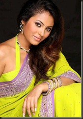 meenakshi-spicy-in-saree-pics