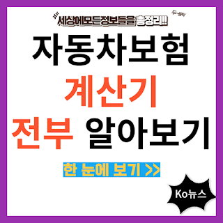 자동차보험-계산기