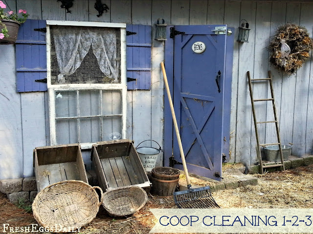 ... good deep coop cleaning i scrub down the whole coop with a white