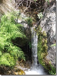 DSCF4139