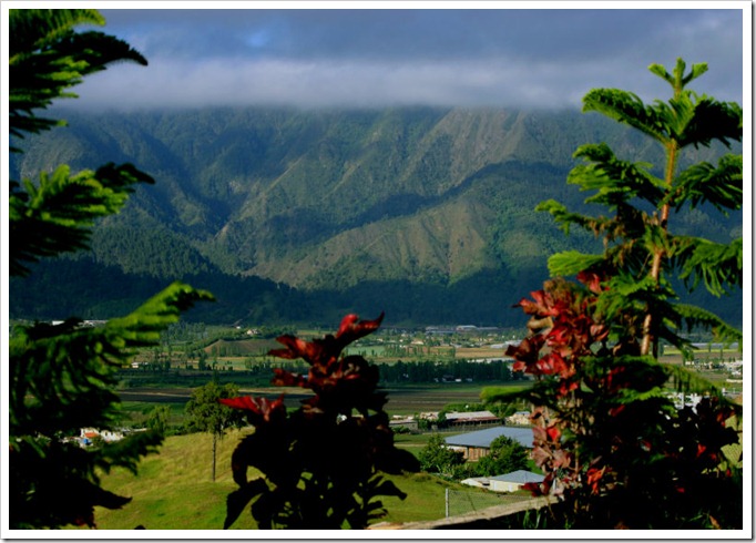 constanza