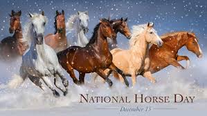 National Horse Day 2023: Date, Theme, History, Significance, Celebration, and More