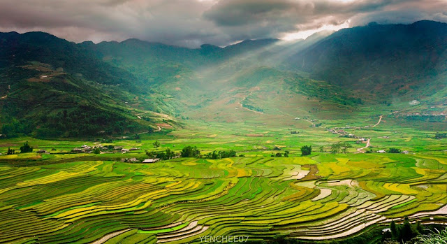 Mu Cang Chai in the summer