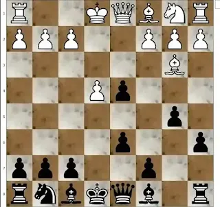 استراتيجيات فخ سفينة نوح في الشطرنج