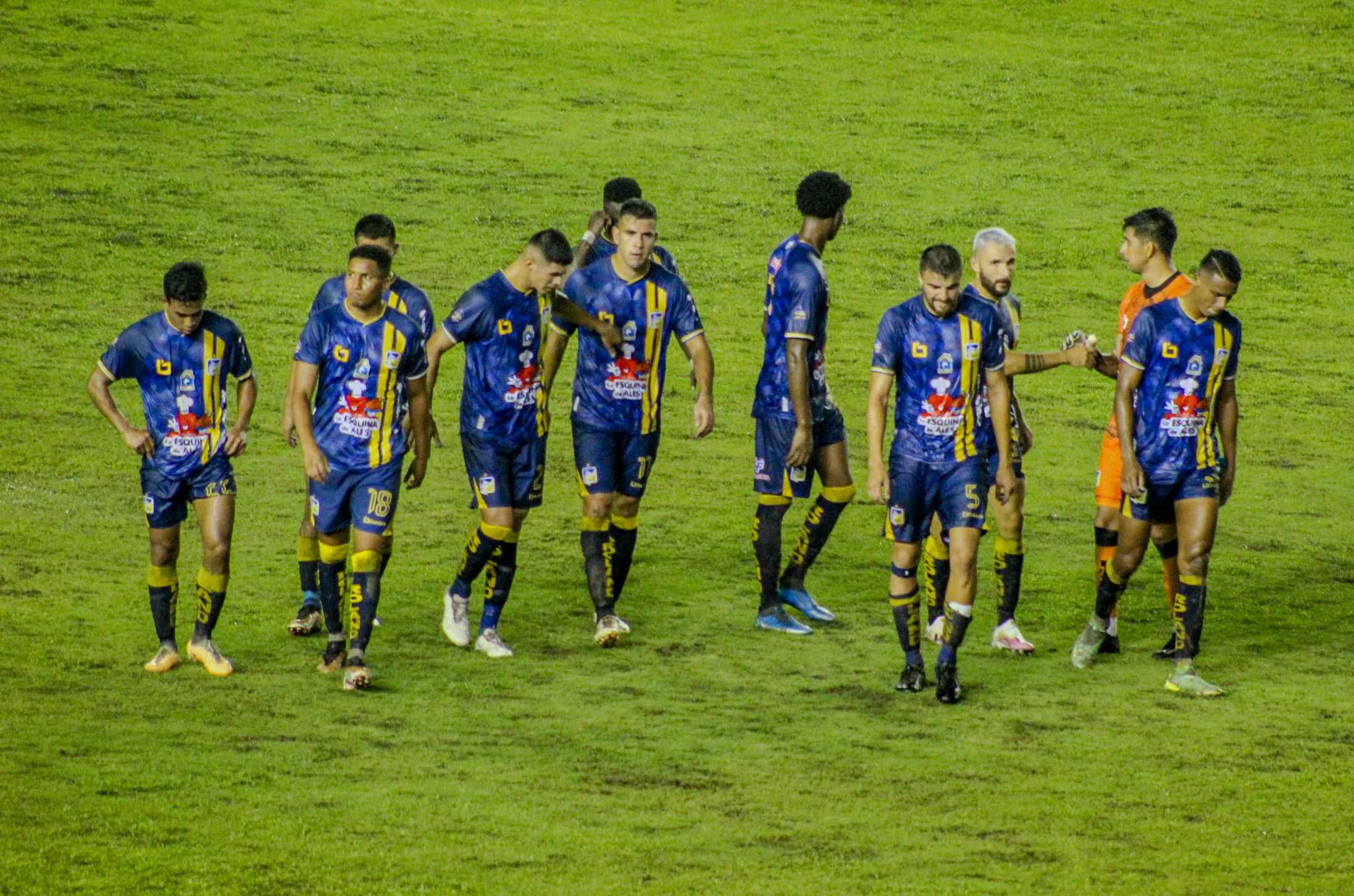 Delfín copa sudamericana