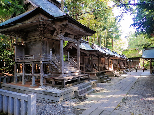 森林裡排列著小神社、這種氣氛喚起了一種神聖的感覺。