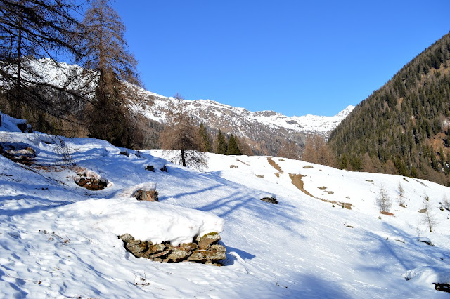 ponte tibetano val di rabbi