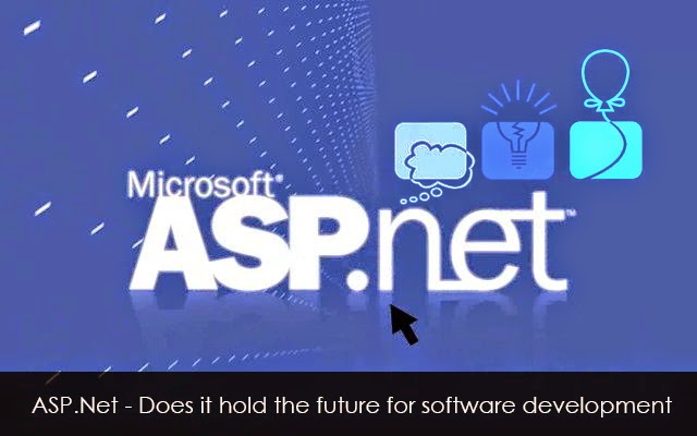 .net application development services