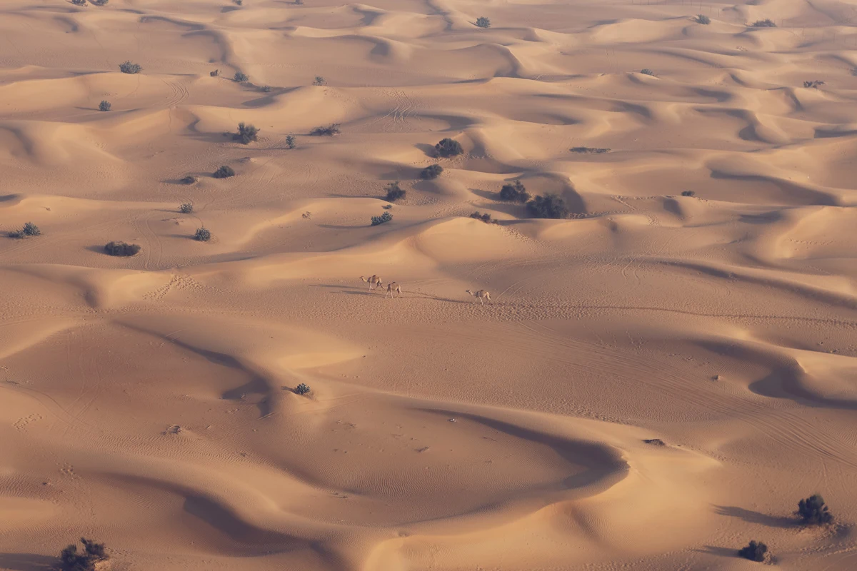 photo taken from a hot air balloon in Dubai