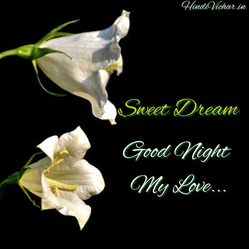 Good Night My Love Images