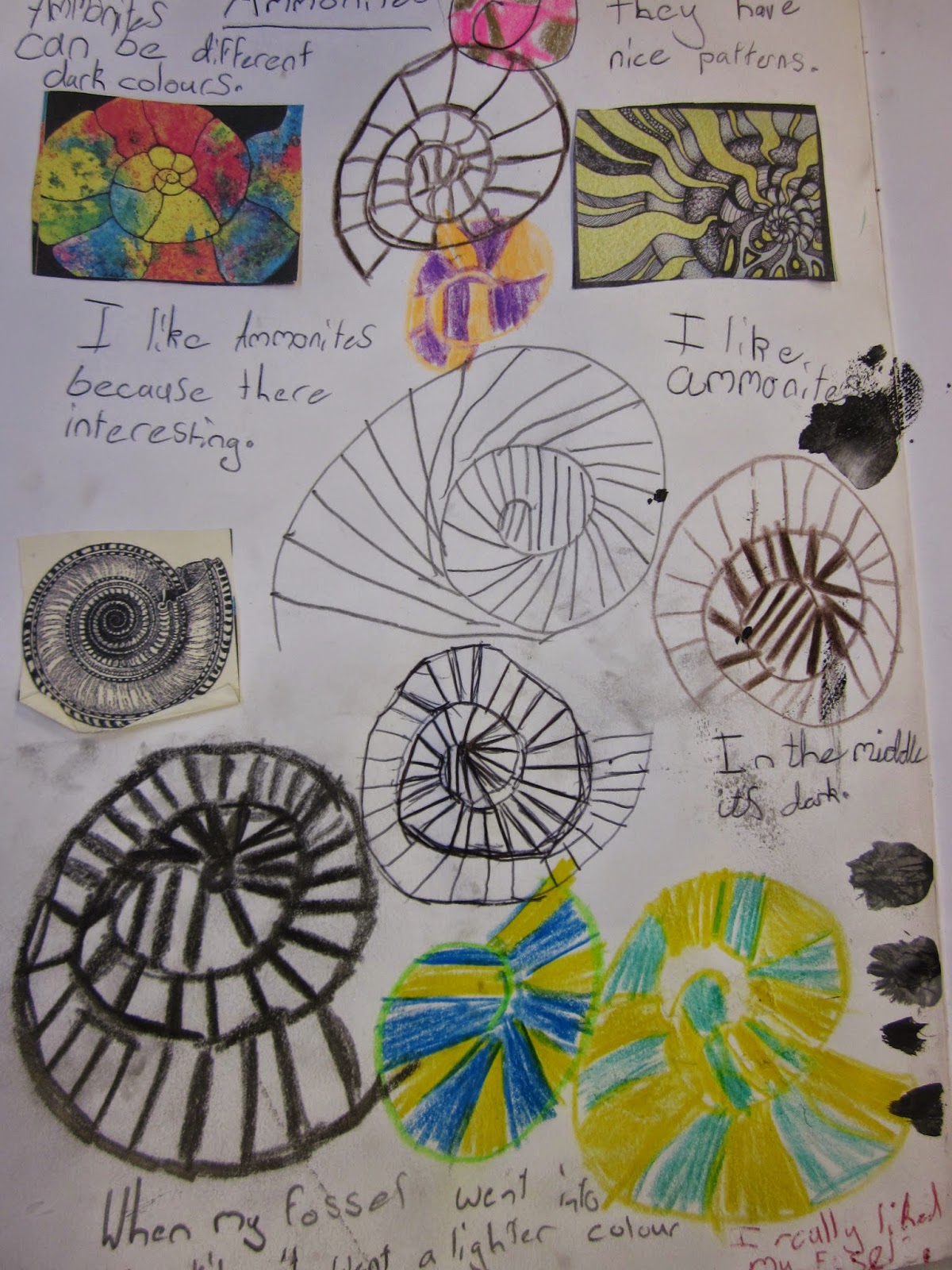 Year 3 Fossil Project Gomersal Primary School Art