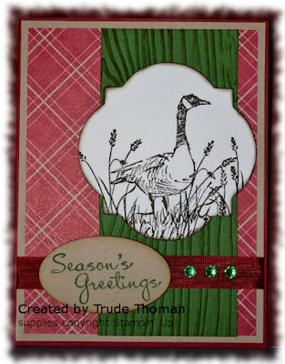 Wetlands, Christmas Card, Goose, Stamp with Trude, Stampin' Up!