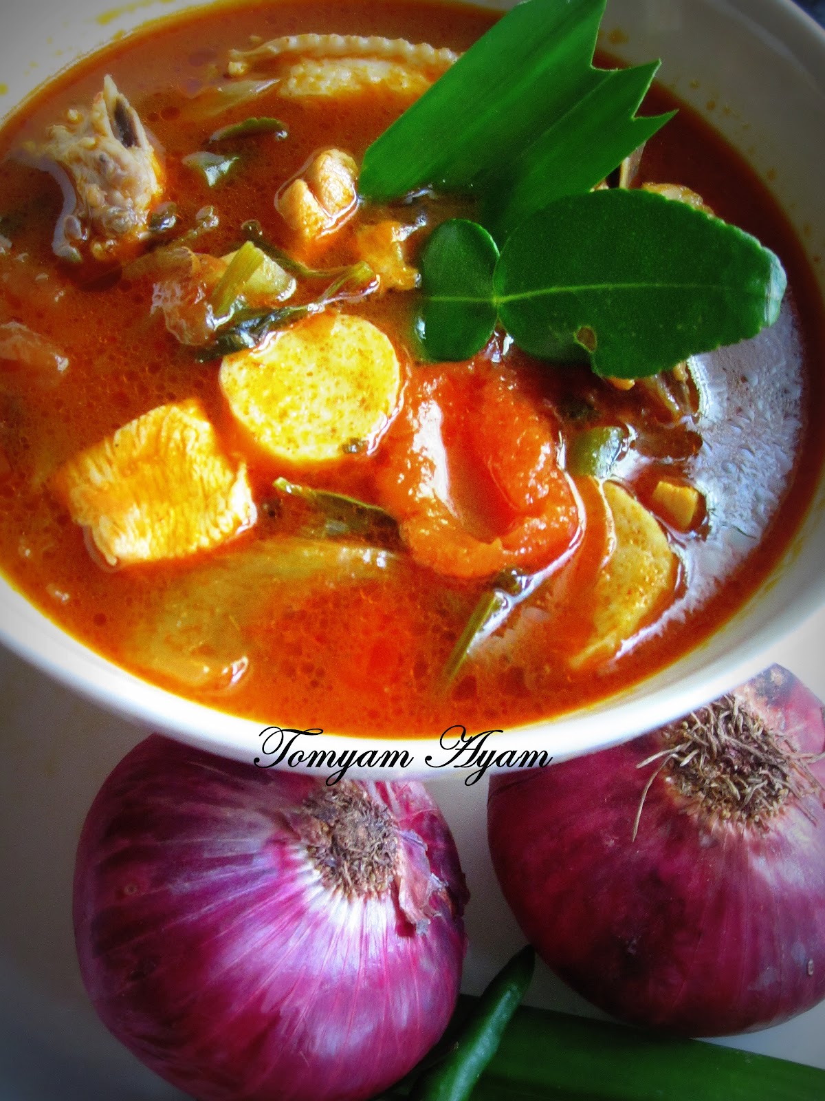 CooKiNG wITh LoVe: SIMPLE TOMYAM AYAM~ my version *(^_^)*