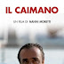 Il Caimano