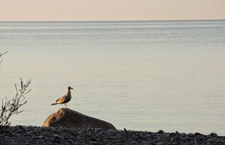 20140825_065859-pq-morning-water