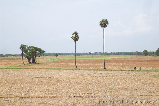 Indian Train Journey Experiences Photos