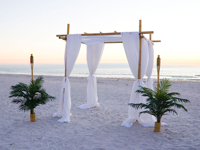 Our New Bamboo Canopy Arch is Draped in White Cloth