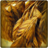 Cara ampuh mengurangi stres dengan gandum