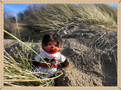 kiki monchhichi monchichi monkiki moncici honfleur normandie plage