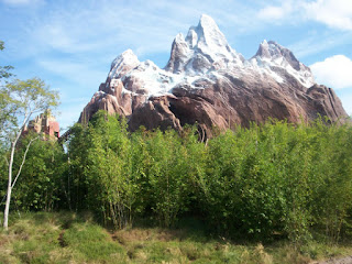 Disneyworld Orlando Animal Kindom, la nuova attrazione Himalaya Expedition Everest