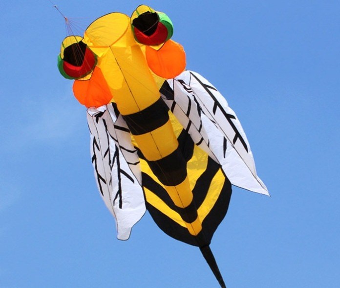 Cara Membuat Layang Layang Lebah Dari Kertas Schaefer