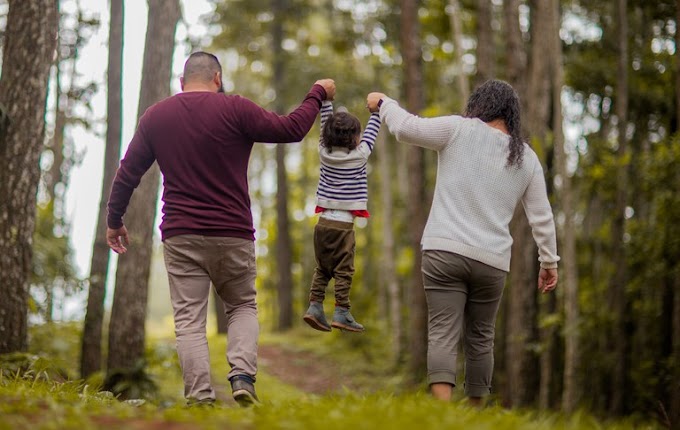 "Fatos e Números" apresenta dados sobre temas relacionados à família brasileira