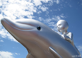 silver dolphin rider