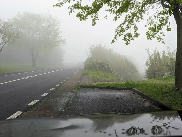 Foggy road on São Miguel in the Azores