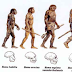 Pré-História : Evolução do Homem