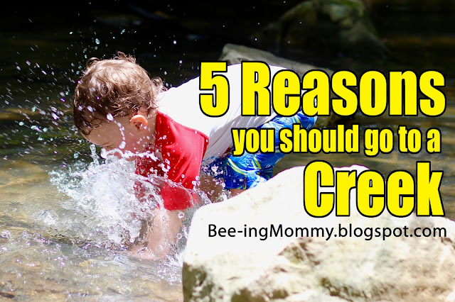 creek, summer fun, why you should go to a creek, family fun, free fun, free family fun, family time, creek fun, exploring a creek, why go to creek, creeking, get outside, explore, to do, summer to do, free to do,5 reasons to go to a creek, what can you do at a creek, 