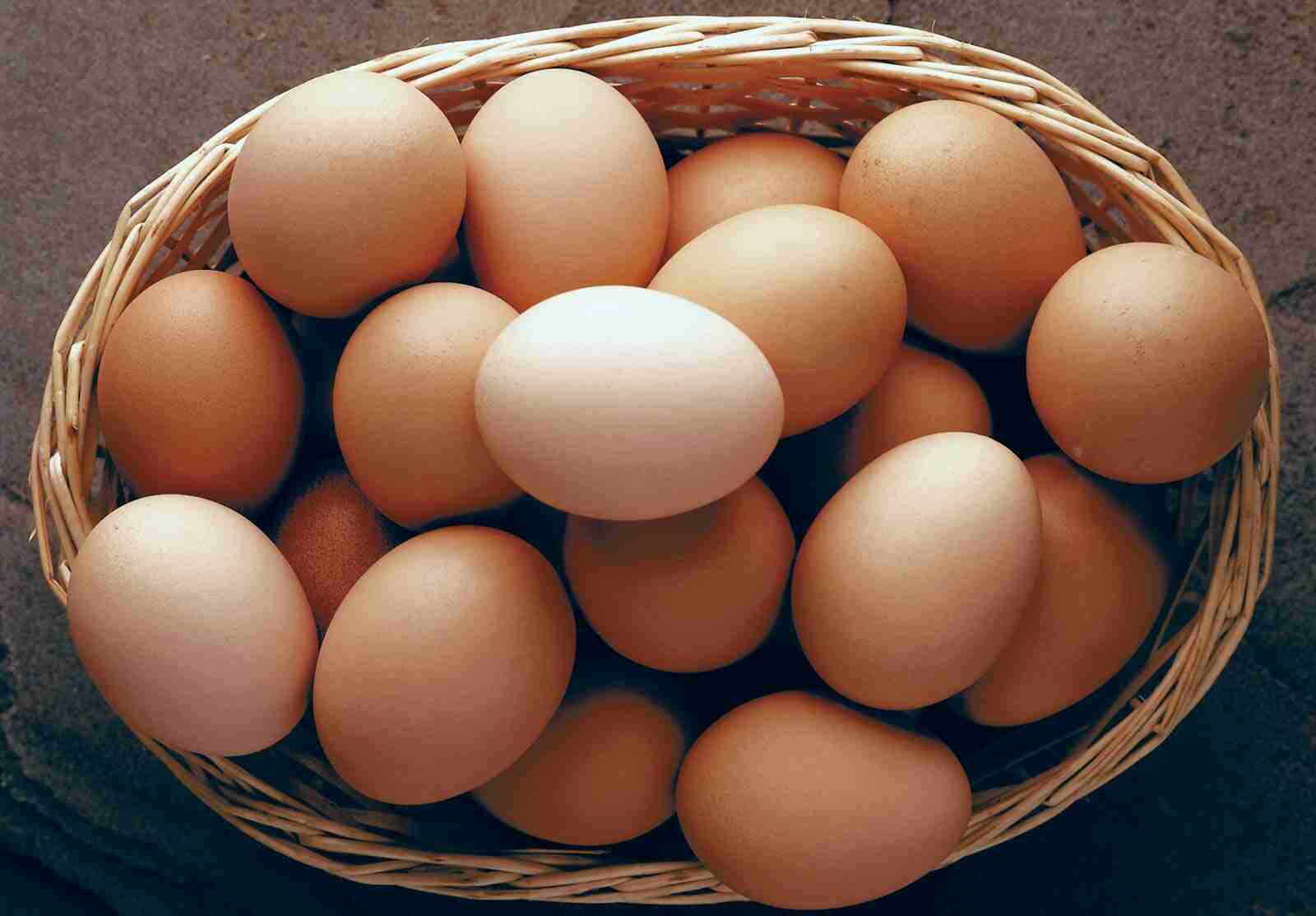 food rich in protein eggs