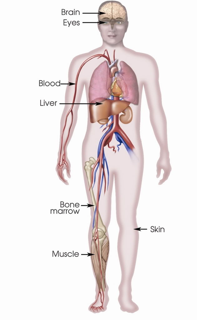 damaged heart. damaged heart tissue.