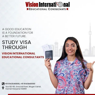 Best Educational consultants in Karnal