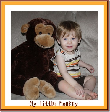 monkey
