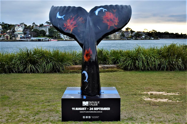 Whale Tail | 'Whale Dreaming' by Graham Toomey