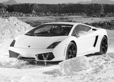 lamborghini gallardo wallpaper and photo picture